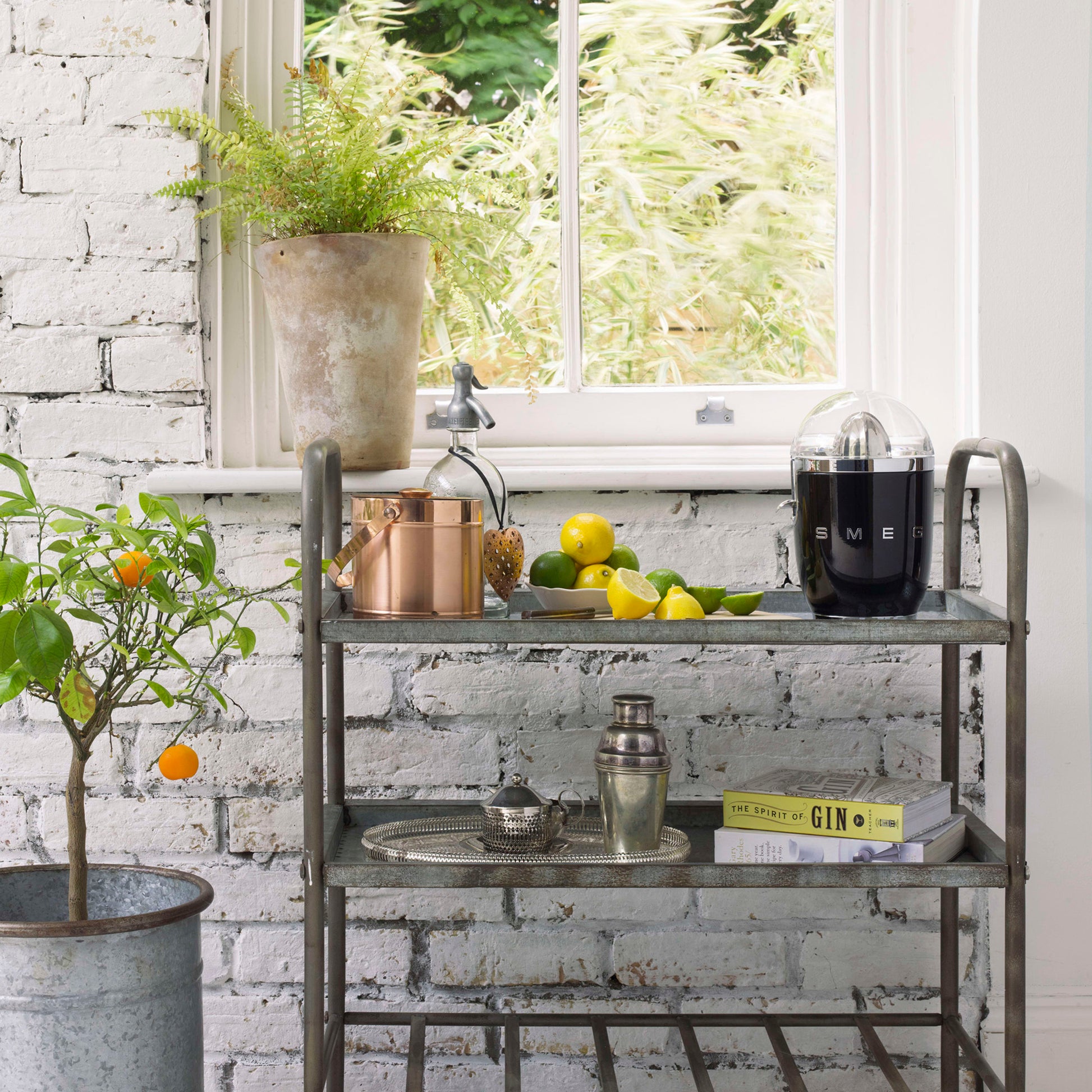 Smeg 50's Style CJF11 Citrus Juicer - product image 5