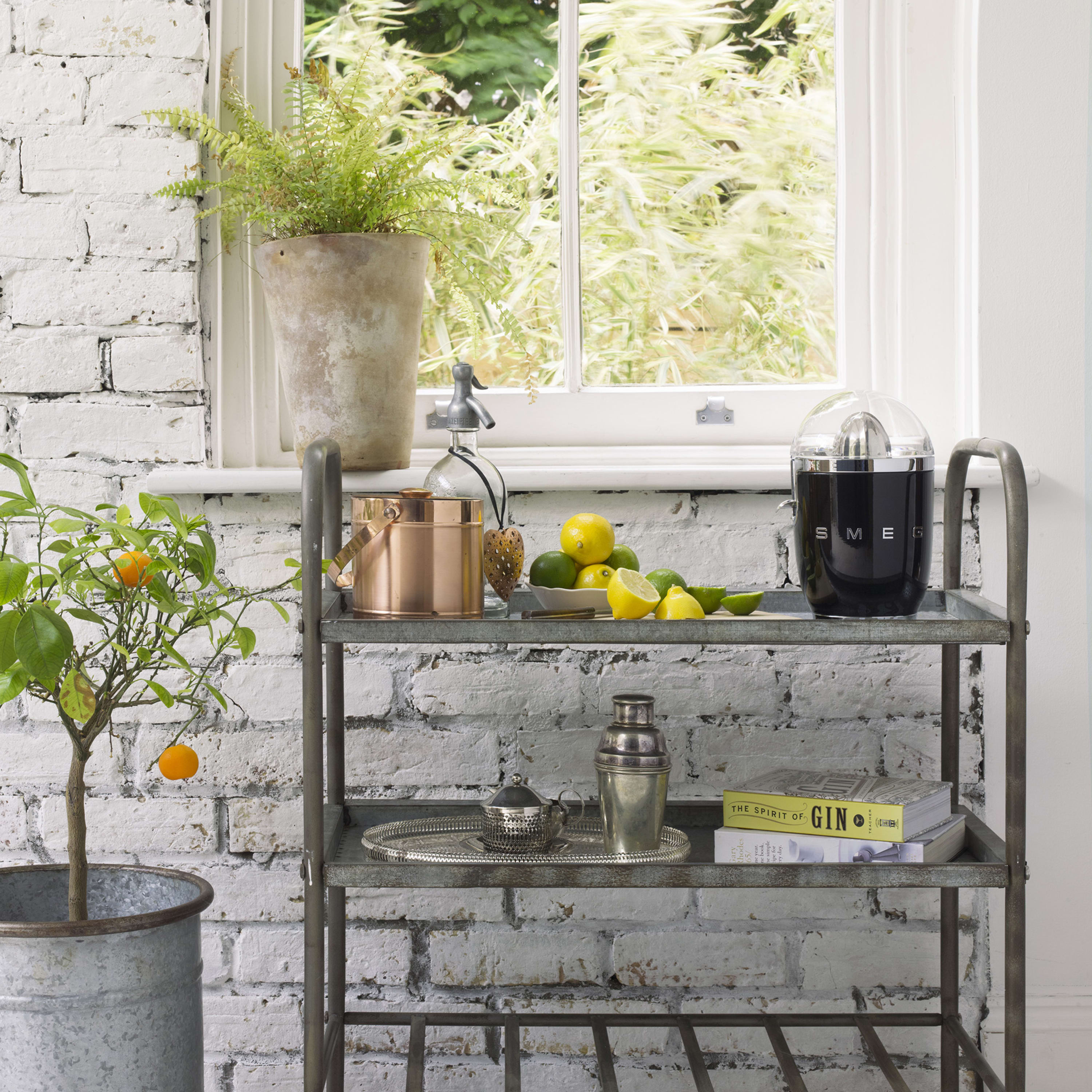 Smeg 50's Style CJF11 Citrus Juicer - product image 5
